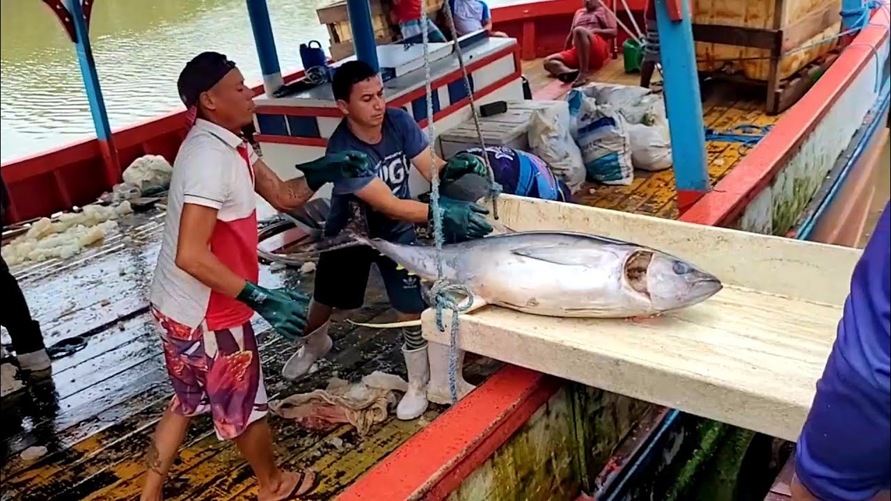 PORTO DE ACARAU É A PESCA DO ATUM É CONSTRUÇÕES DE BARCOS CEARÁ.