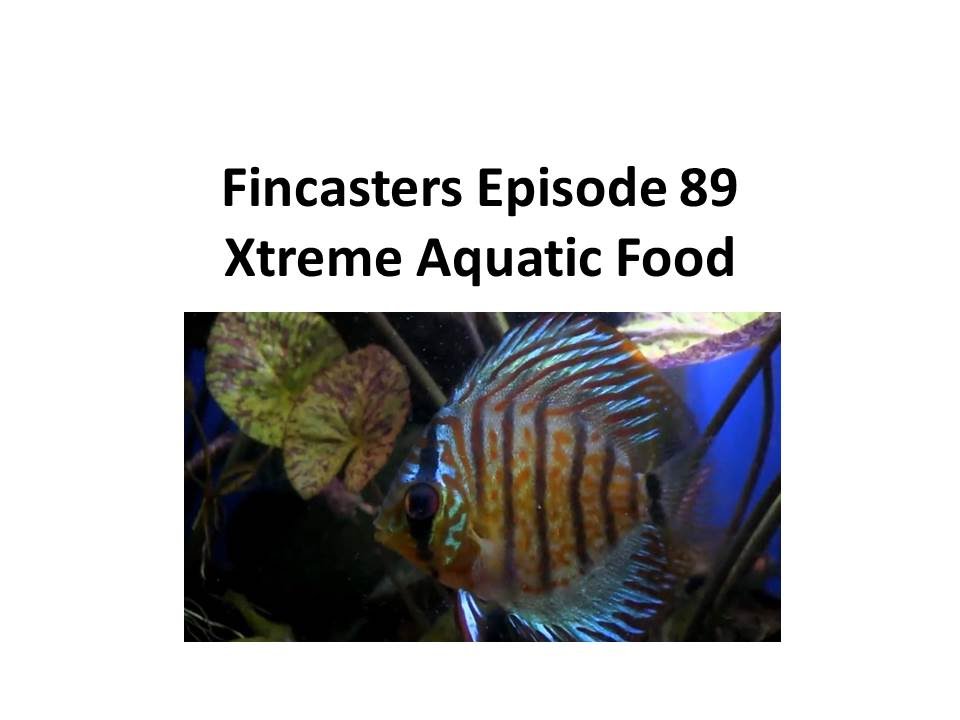 Fincasters Episode 89 Xtreme Aquatic Food