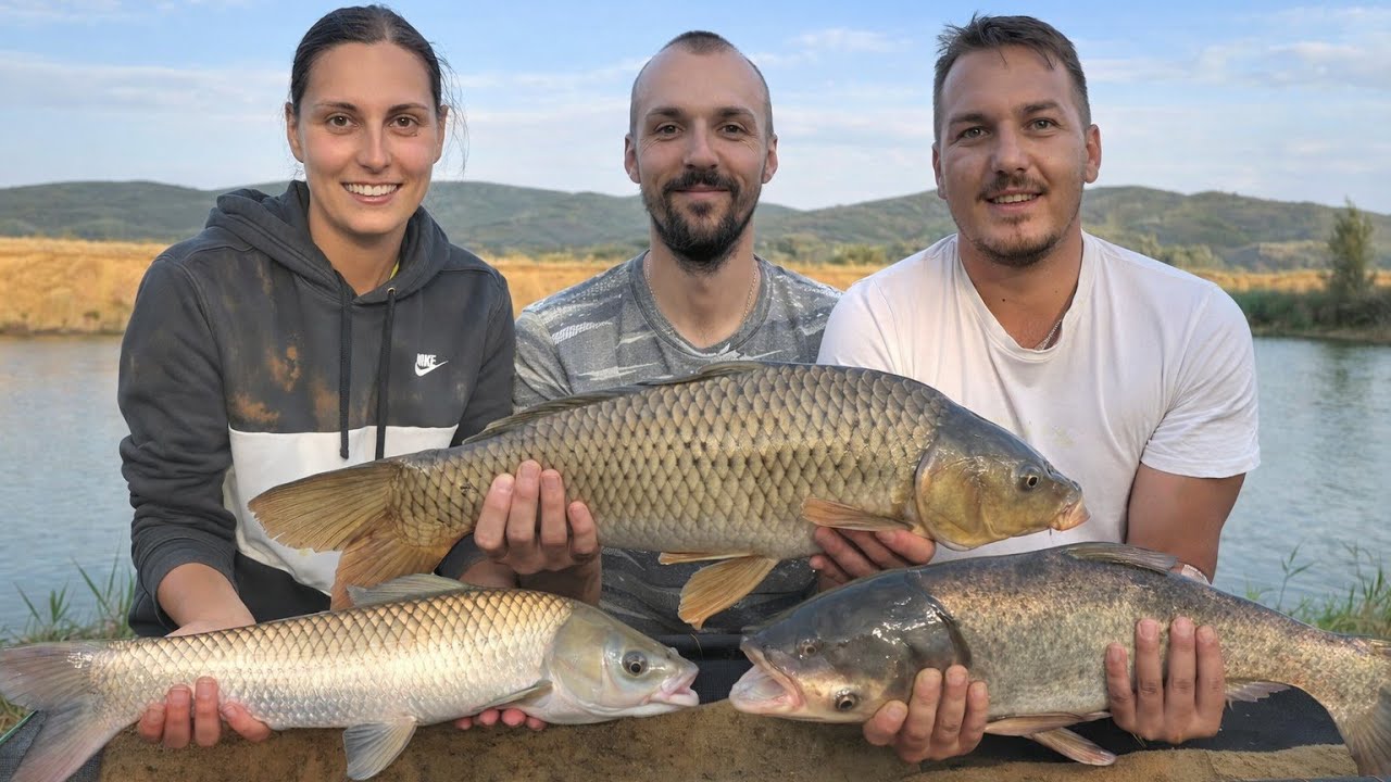 Letnji Method Feeder na jezeru Malosiste - 2025 #carpfishing #carp #fishing #fish #methodfeeder 