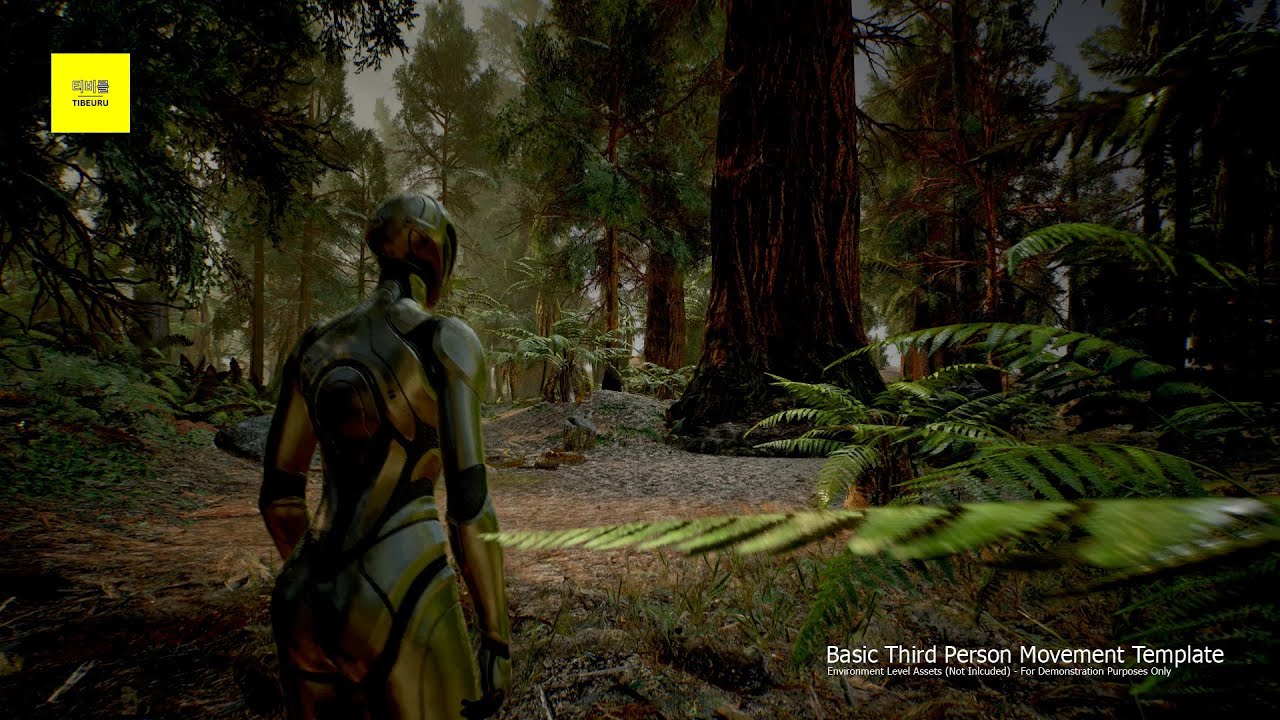 Tibeuru's Enhanced Third Person Template - Basic | Demo