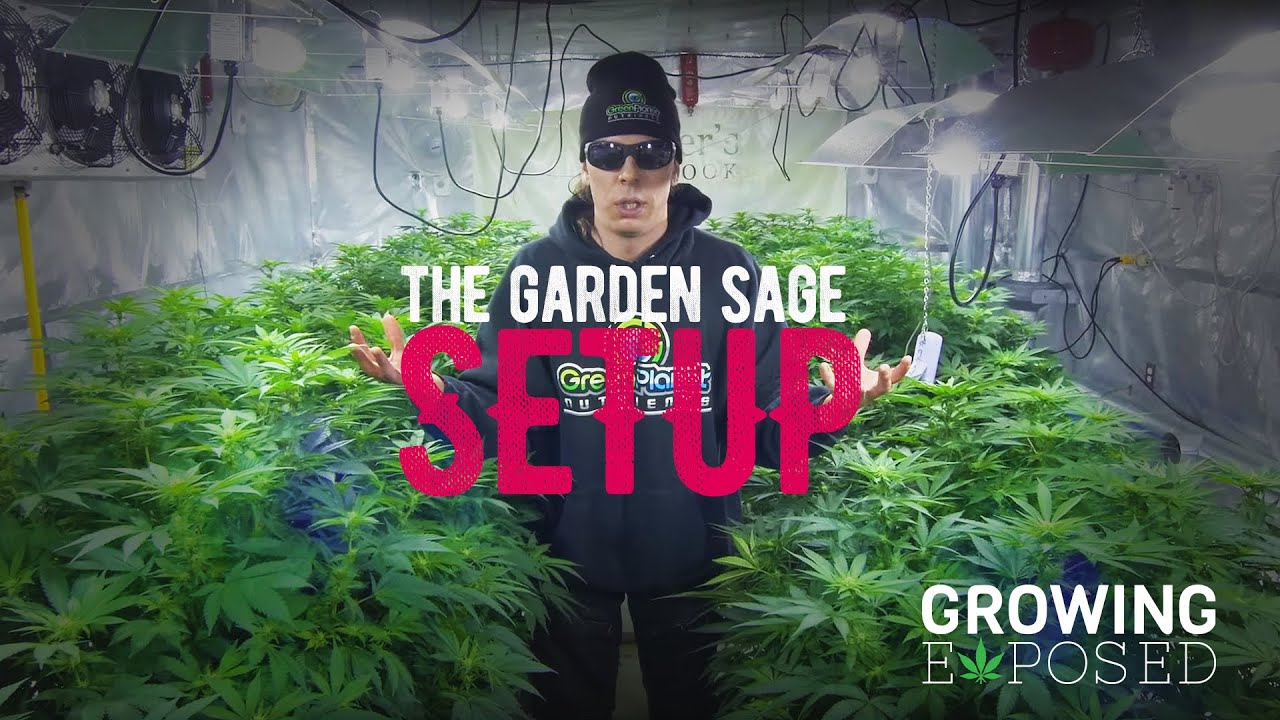 The Garden Sage Setup - The Official Tour