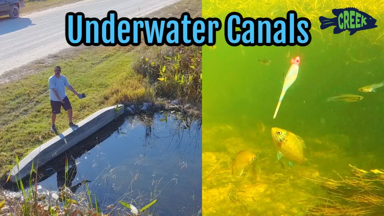 GoPro Underwater Florida Canals