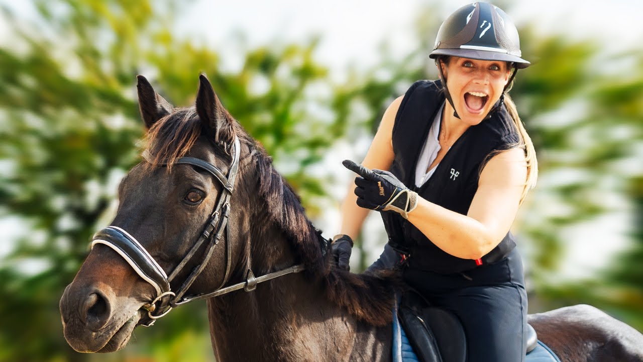 JE REMONTE MON CHEVAL APR&Egrave;S SA GU&Eacute;RISON ❤️&zwj;🩹 Olandais is back !