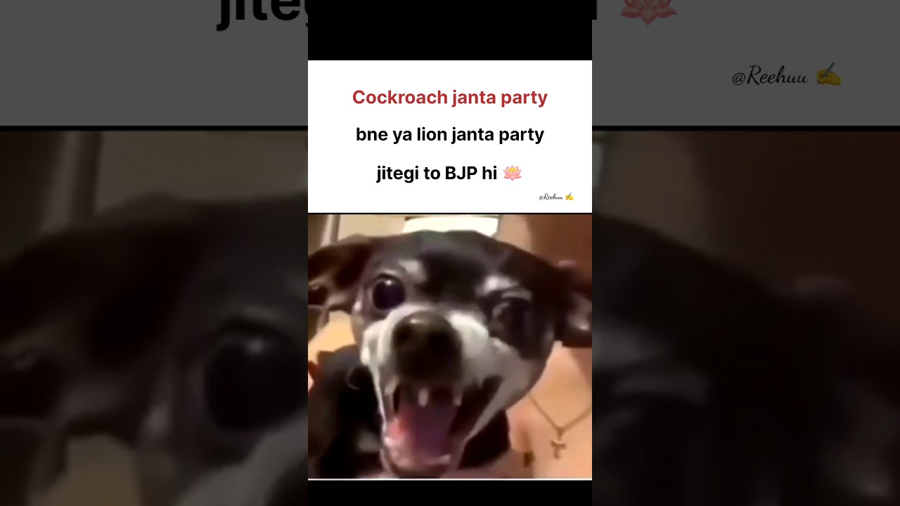cjp #memes #popular #viral #funnymemes #tweetreels #bjp #cjp #party
