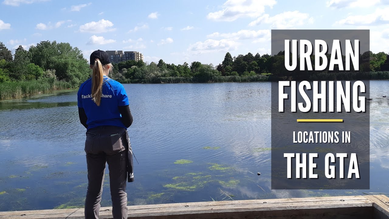 Lake Aquitaine, Mississauga | Urban Fishing Locations in the GTA