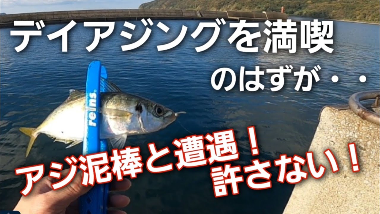 【アジング】デイアジングの難しさを痛感！そして貴重なアジが・・泥棒は許さない！【離島】
