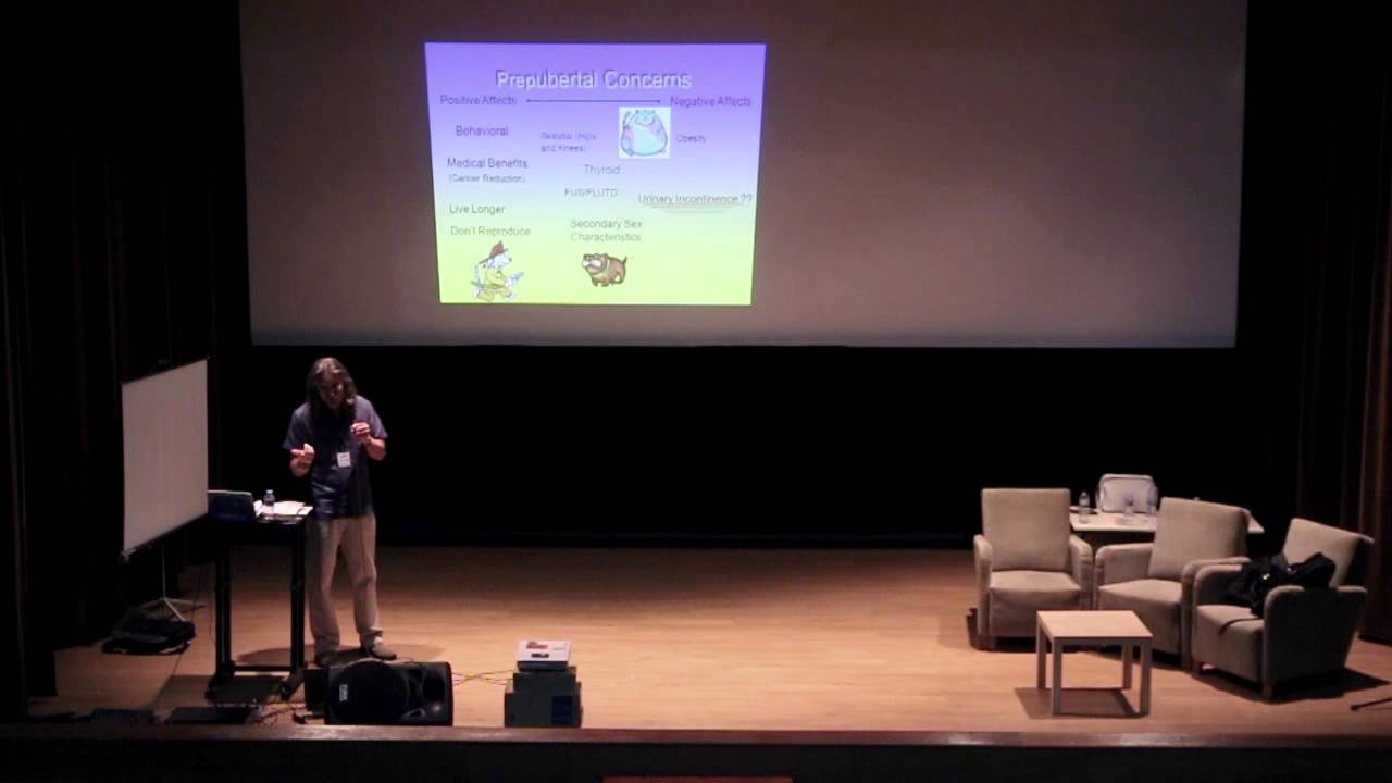 Jeffrey Young - The controversy is over: prepubertal neutering is the surgery of choice