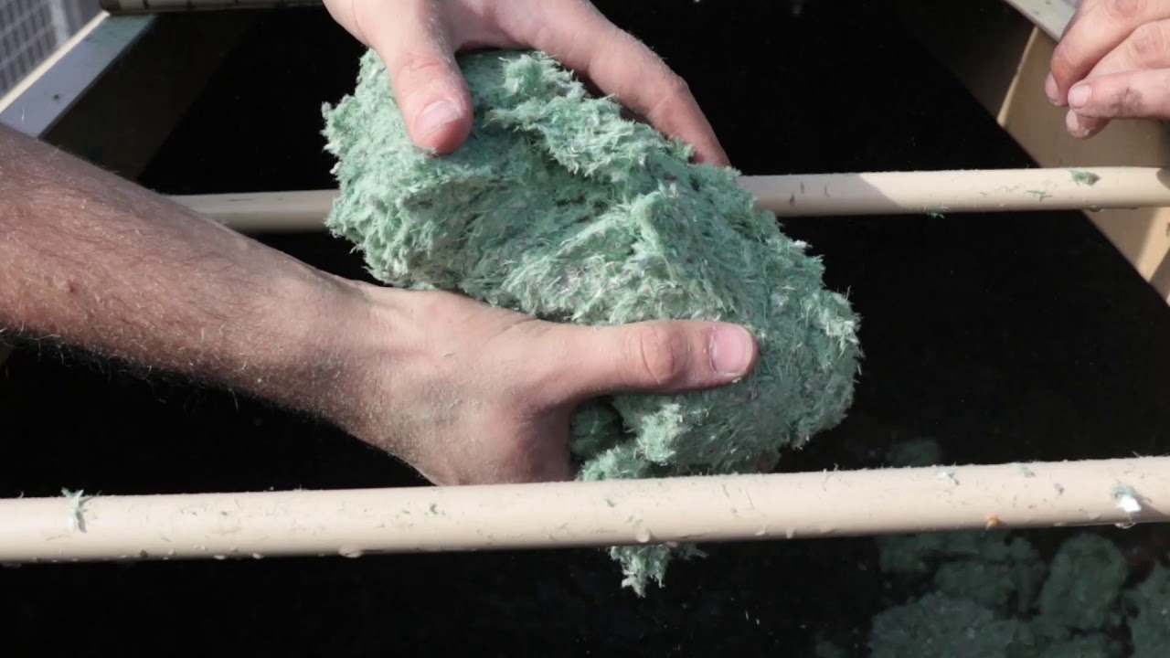 LA MINUTE 100% GAZON / Qu’est-ce que l’ hydromulching ?