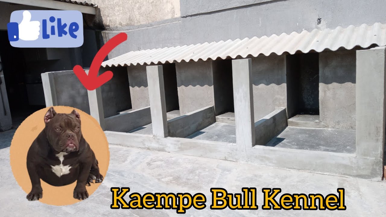 Construção do meu canil - Passo a passo