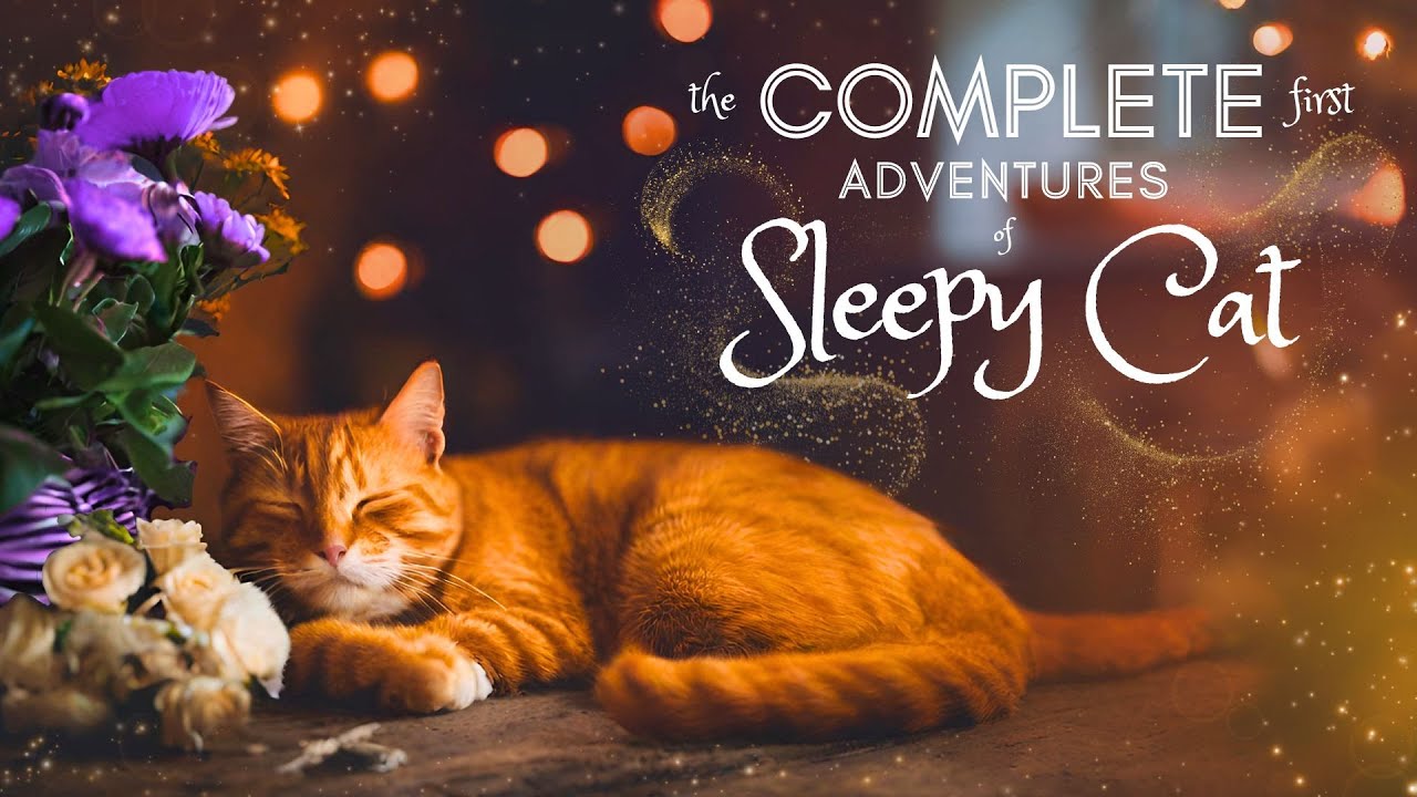 8 HOUR Sleepy Cat Bedtime Stories 😻 ASMR Sleep Story