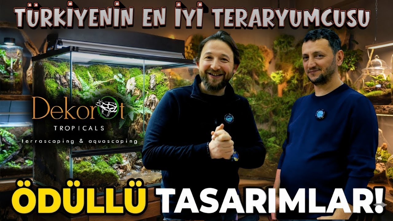 Türkiye'nin En İyi Tasarım Atölyesine Girdik! @Dekorot  | Betta Marketim