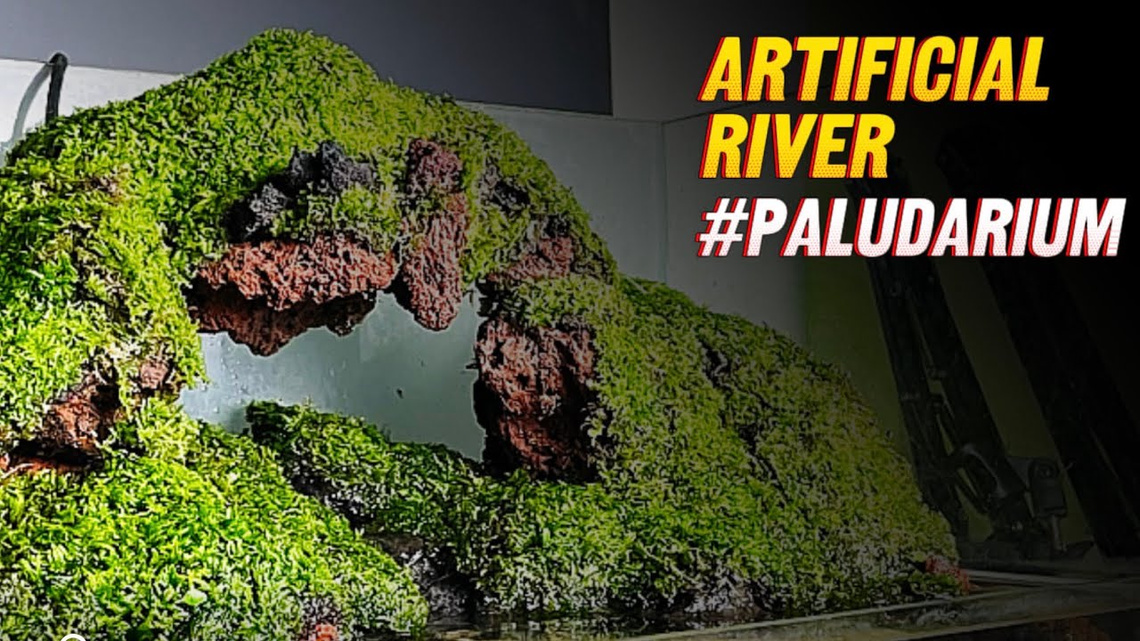 Making an artificial river under the hill - paludarium - aquaterrarium