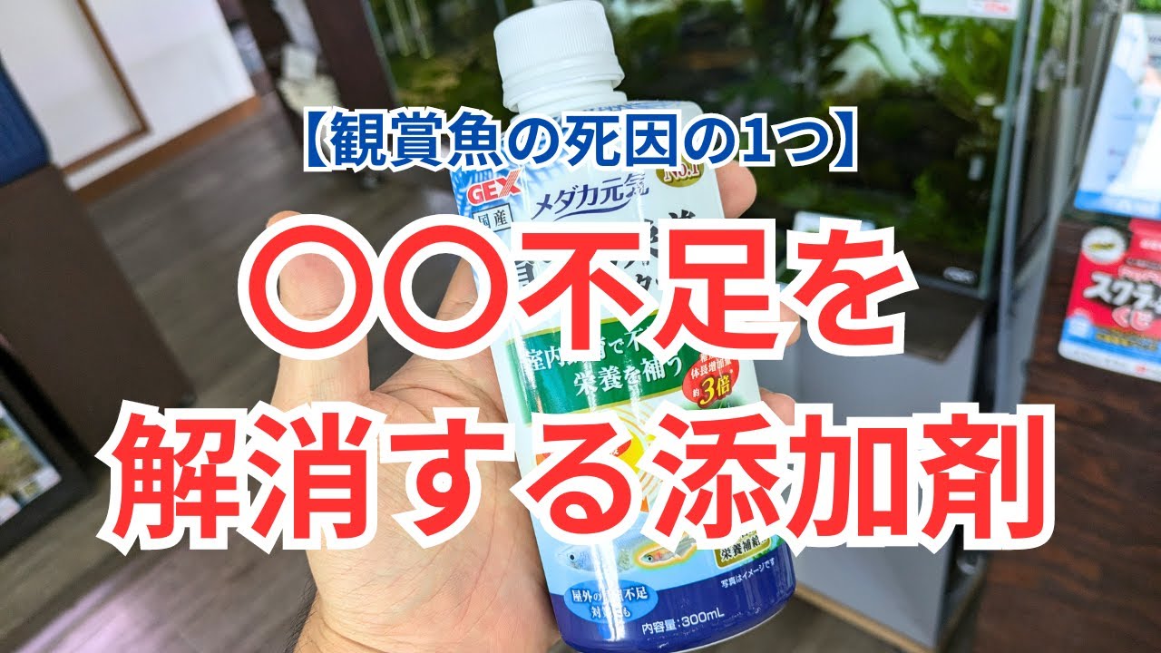 【GEX 育てる栄養ウォーター】〇〇不足を簡単に解消できる添加剤！