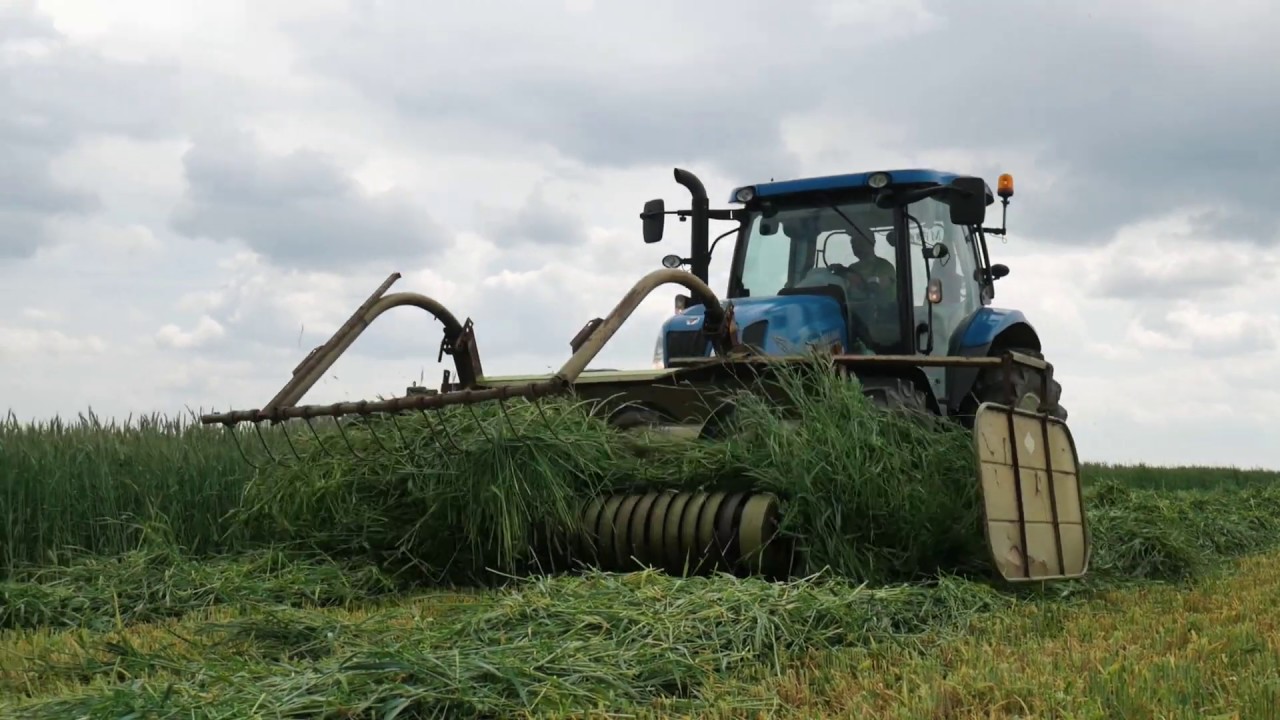 M.P.AGRI : Koszenie zbiór żyta traw lucerny żyto na pokos pryzma