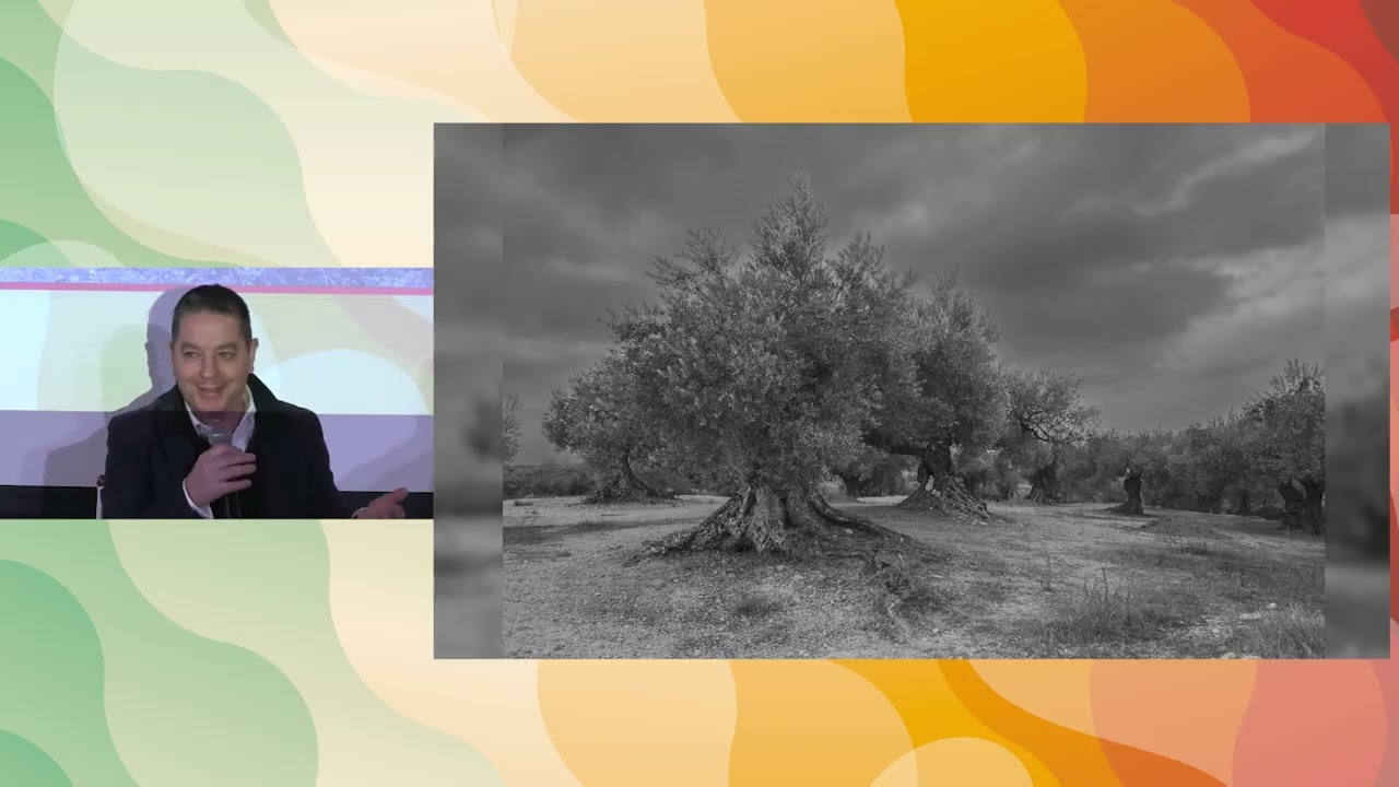 L'olivo è paesaggio e cultura