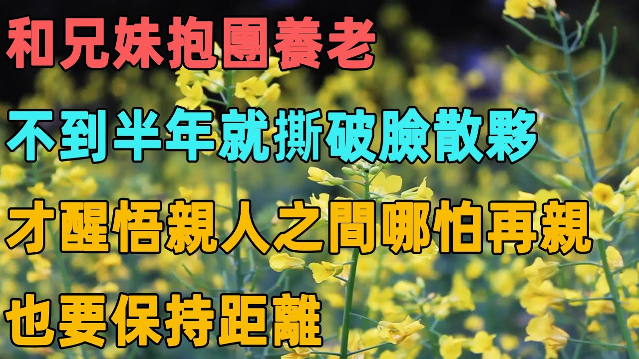 和兄妹抱團養老，不到半年就撕破臉散夥，才醒悟親人之間哪怕再親，也要保持距離｜聆聽心語