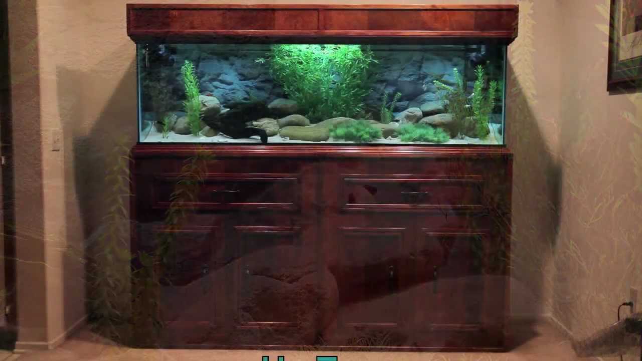 Nigel's Aquarium