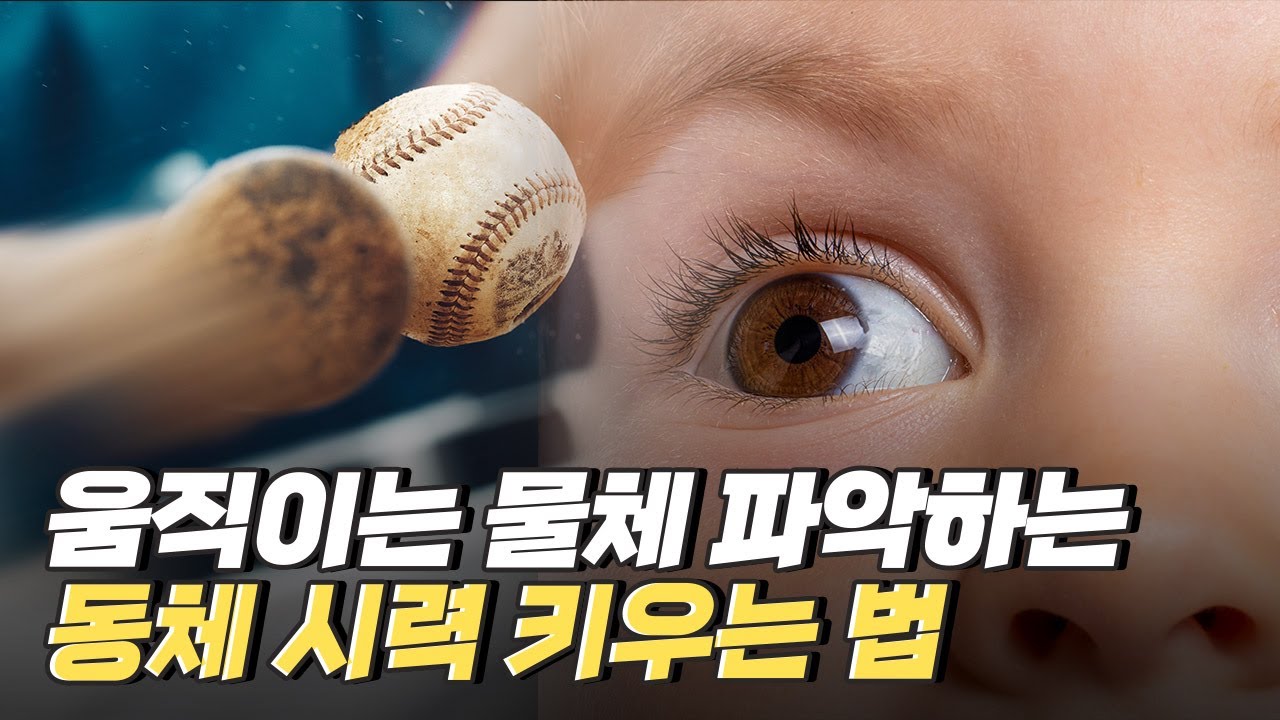 [핫클립] 운동선수가 아닌 일반인들이 동체시력을 길러야 하는 이유 / YTN 사이언스