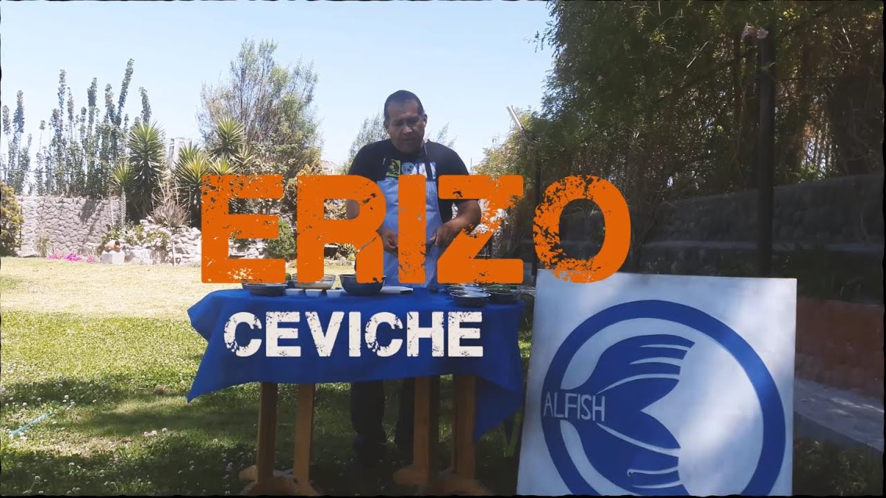 Preparación del CEVICHE Y COCTEL DE ERIZO !