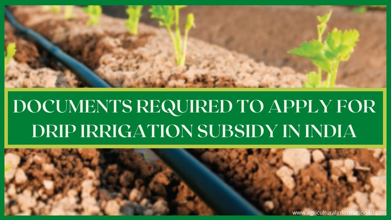 Drip Irrigation Subsidy: Documents Required to Apply for Drip Irrigation Subsidy in India