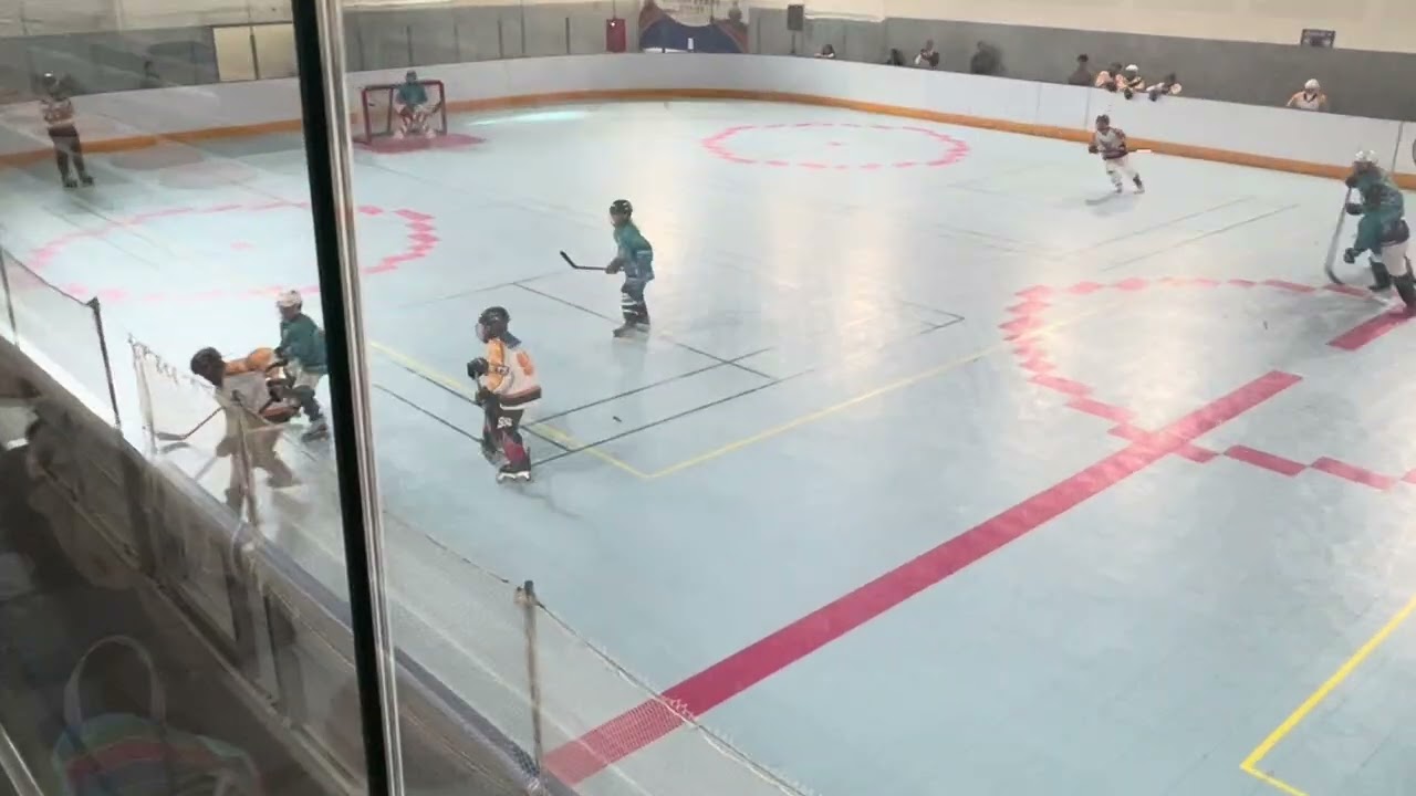 20260301 52假日盃 小高A 海豹 vs 台南黃蜂 1:6