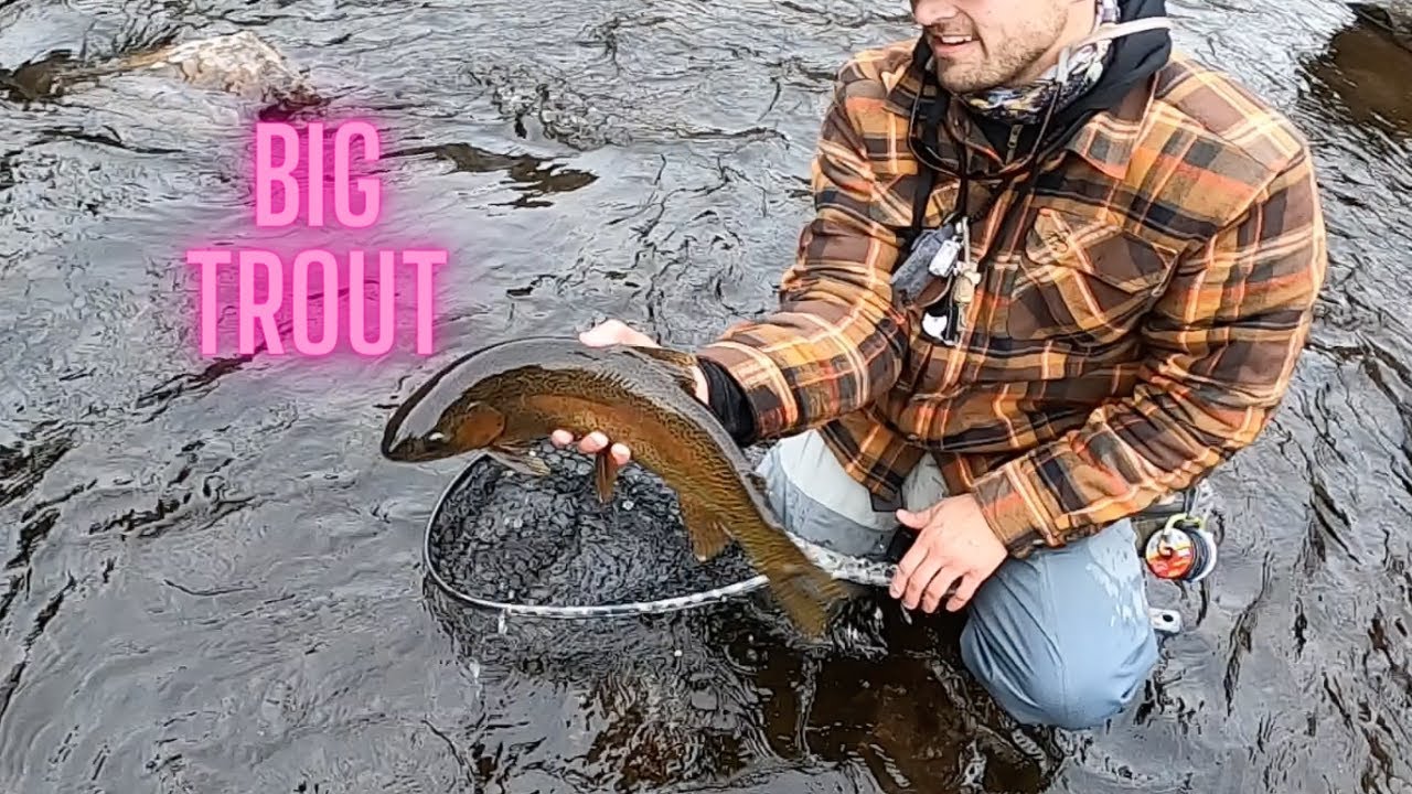 Cheesman Canyon Colorado Fly Fishing