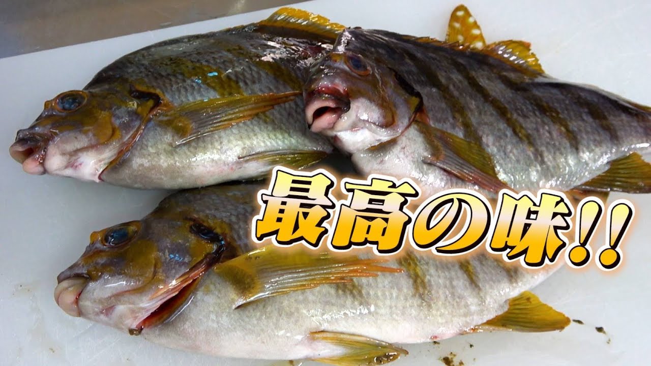 【りょうくんも参加！】今日の晩御飯はタカノハダイ尽くし！