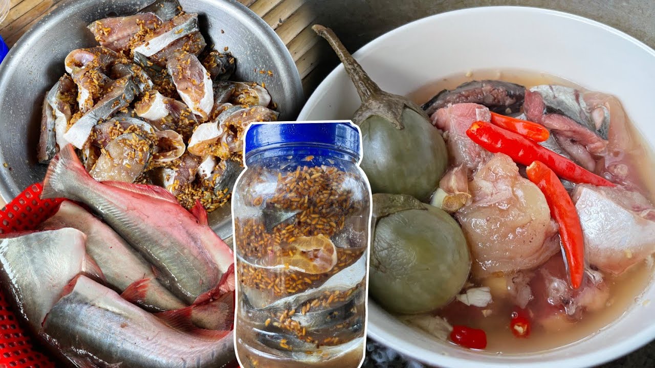 របៀបធ្វេីផ្អត្រីប្រា អង្កលីង ឆាប់ជូឆាប់បានញាំ របៀបធ្វេីប្រចាំគ្រួសារខ្ញុំ Make Fermented Fish  #food
