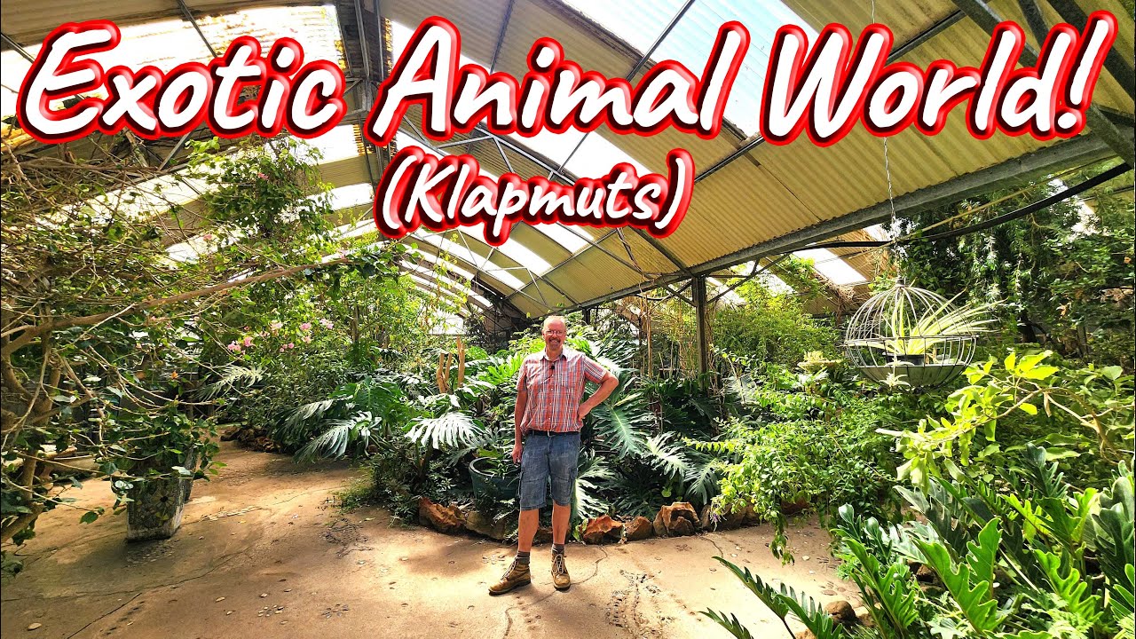 Exotic Animal World, Klapmuts! Ep 455