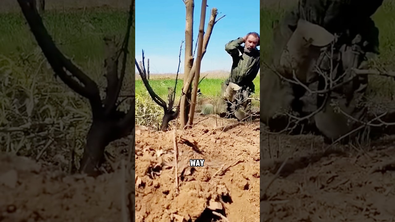 Rules of surrender #shortvideo #military #war #soldiers #facts
