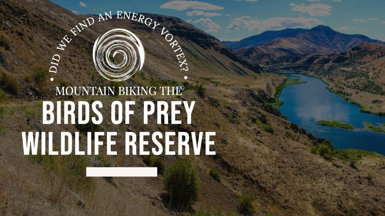 Mountain Biking in the Birds of Prey National Conservation Area, a few things we love about Idaho!