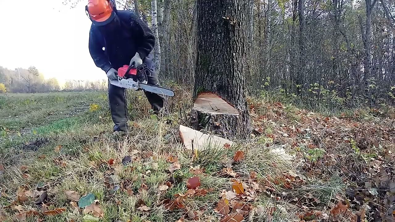 Pilarka spalinowa tania jak barszcz. (23)