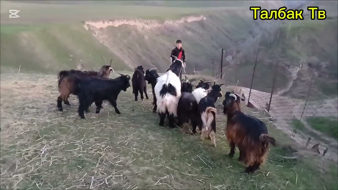 Такахои фуруши 10 сар  дар н. рудаки тел 559995683 ватсап