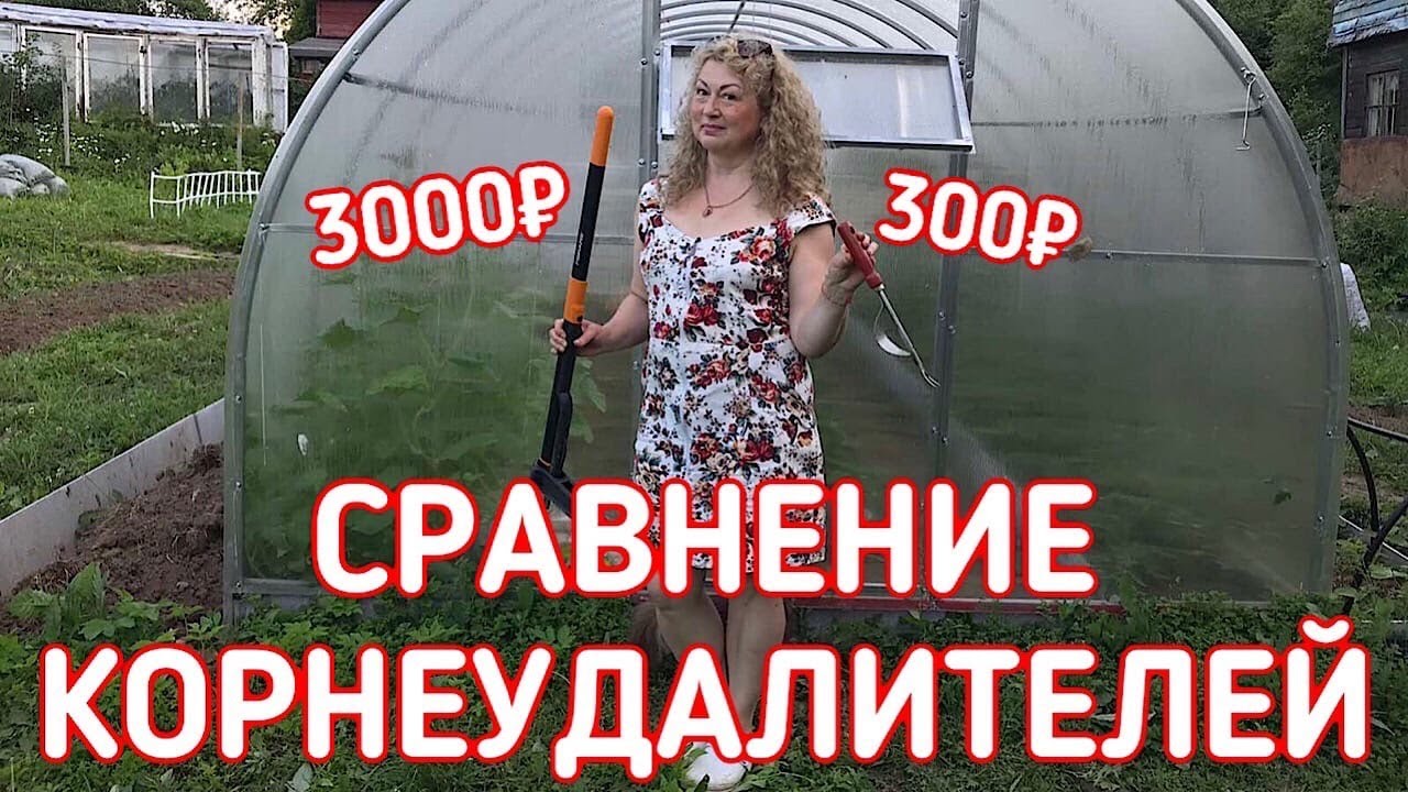 СРАВНИВАЮ КОРНЕУДАЛИТЕЛЬ FISKARS ЗА 3000₽ И ДЕШЁВЫЙ КОРНЕУДАЛИТЕЛЬ ЗА 300₽ | СТОИТ ЛИ ПЕРЕПЛАЧИВАТЬ?