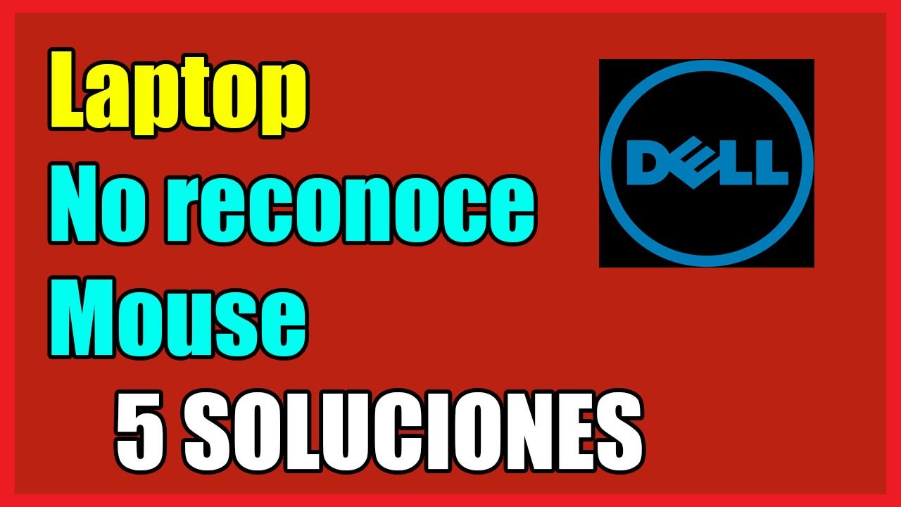 Mi Laptop DELL no Reconoce el Mouse I 5 Soluciones 2025