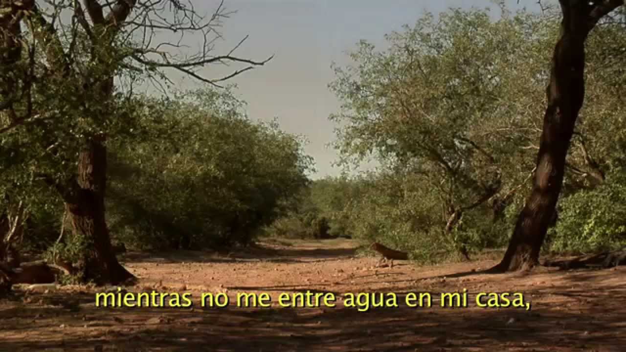 SALAVINAMANTA TUKUYPAQ  (Desde Salavina para Todos) Documental completo