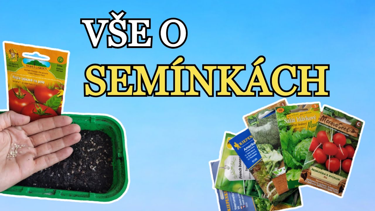 VŠE O SEMÍNKÁCH | MOŽNÁ JSTE NEVĚDĚLI | SEMÍNKA, PRAKTICKÉ RADY,  MOJE ZKUŠENOSTI
