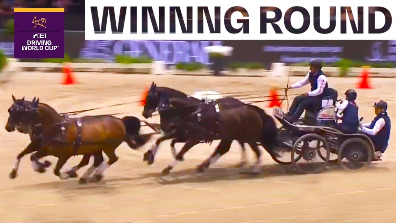 This is the Driving Champion 2019/20 | FEI Driving World Cup&trade; FINAL (Bordeaux |&nbsp;FRA)