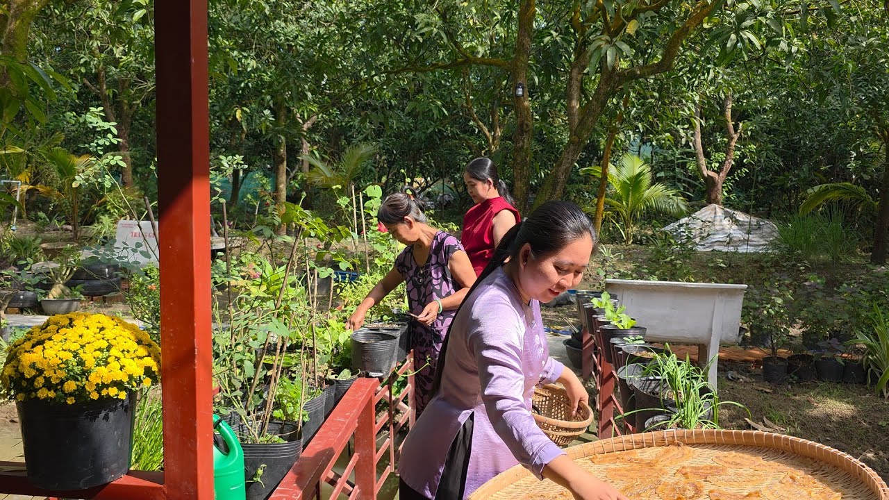BÌNH YÊN CƠM QUÊ MIỀN TÂY NGÀY GIÁP TẾT SUM HỌP GIA ĐÌNH RỘN RÀNG TIẾNG CƯỜI
