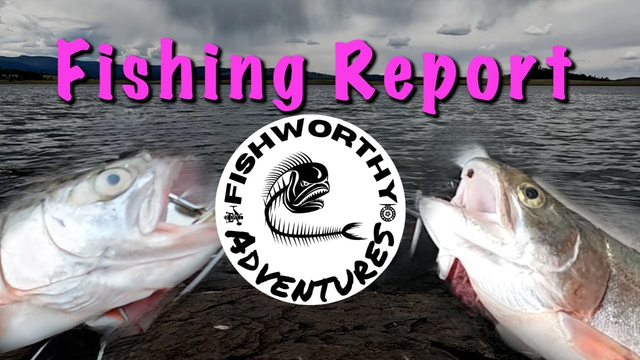 Big Lake Arizona Fishing Report - White Mountains Fishing