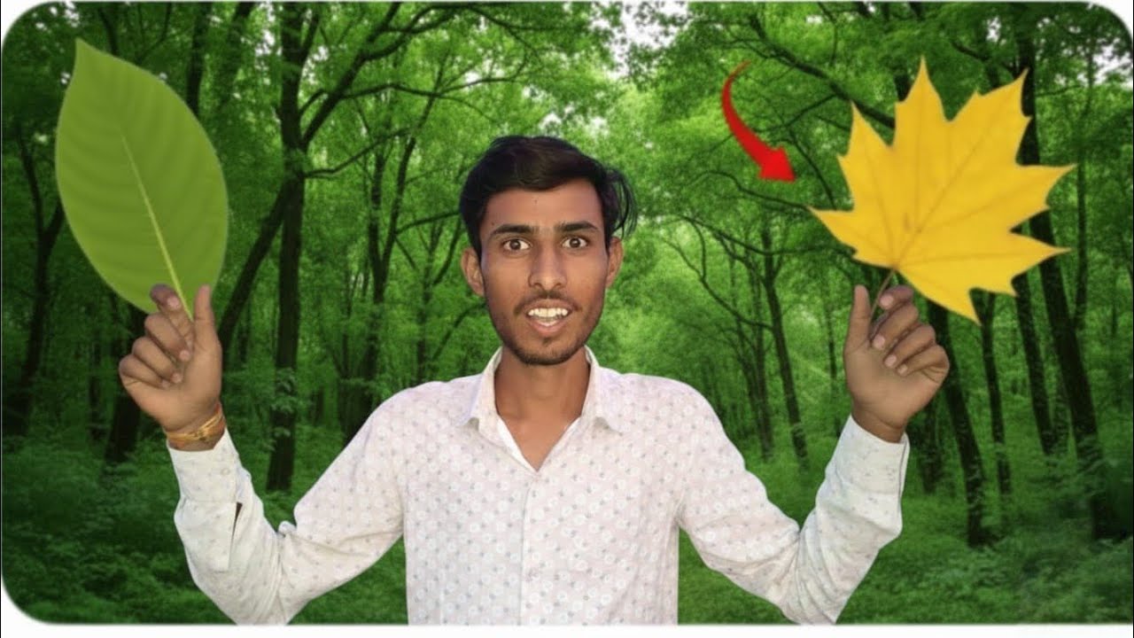 Duniya ki Sabse acchi Patti | दुनिया की सबसे अच्छी पत्ती कौन ढूंढ के लाएगा ?
