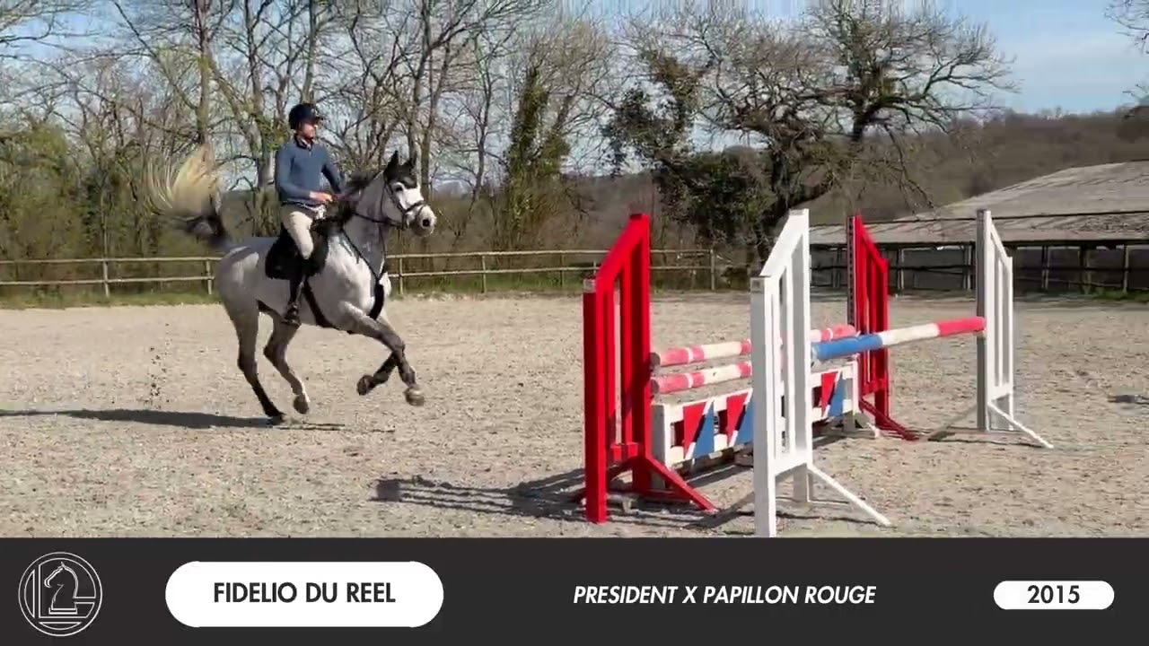 Fidelio du réel
