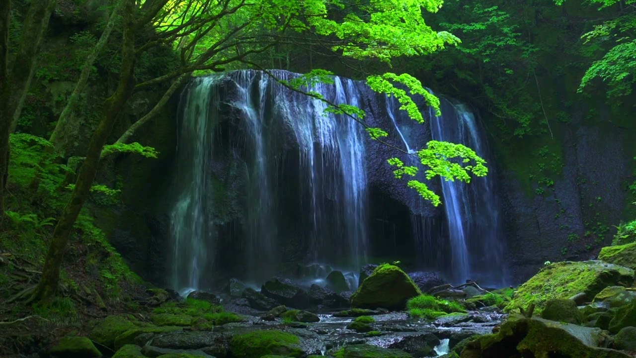 Relaxing Zen Piano Music with Water Sounds | Peaceful Ambience for Spa, Calm Yoga and Relaxation 🎶🌊