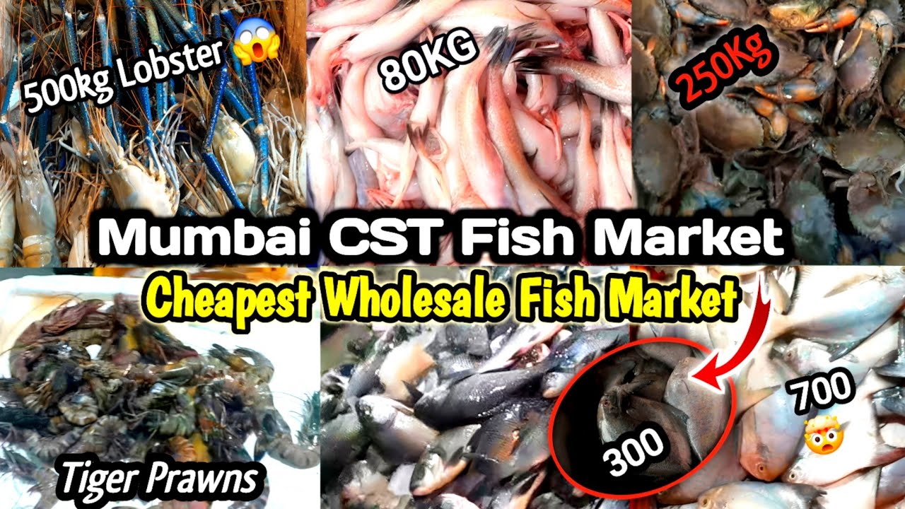 Cheapest Fish Market in Mumbai | CST Fish Market Latest Video | Fresh Fish Mumbai Wholesale Market 