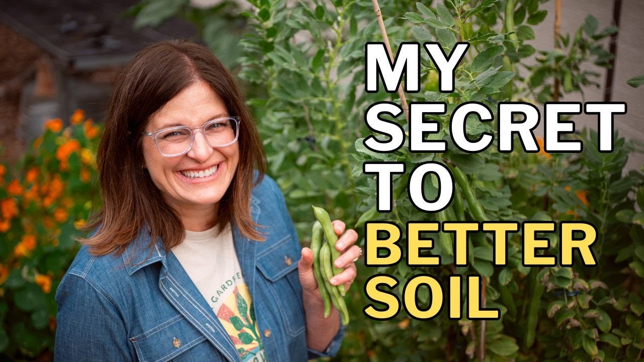 FAVA BEAN GROWING GUIDE: Grow for Food and Better Soil