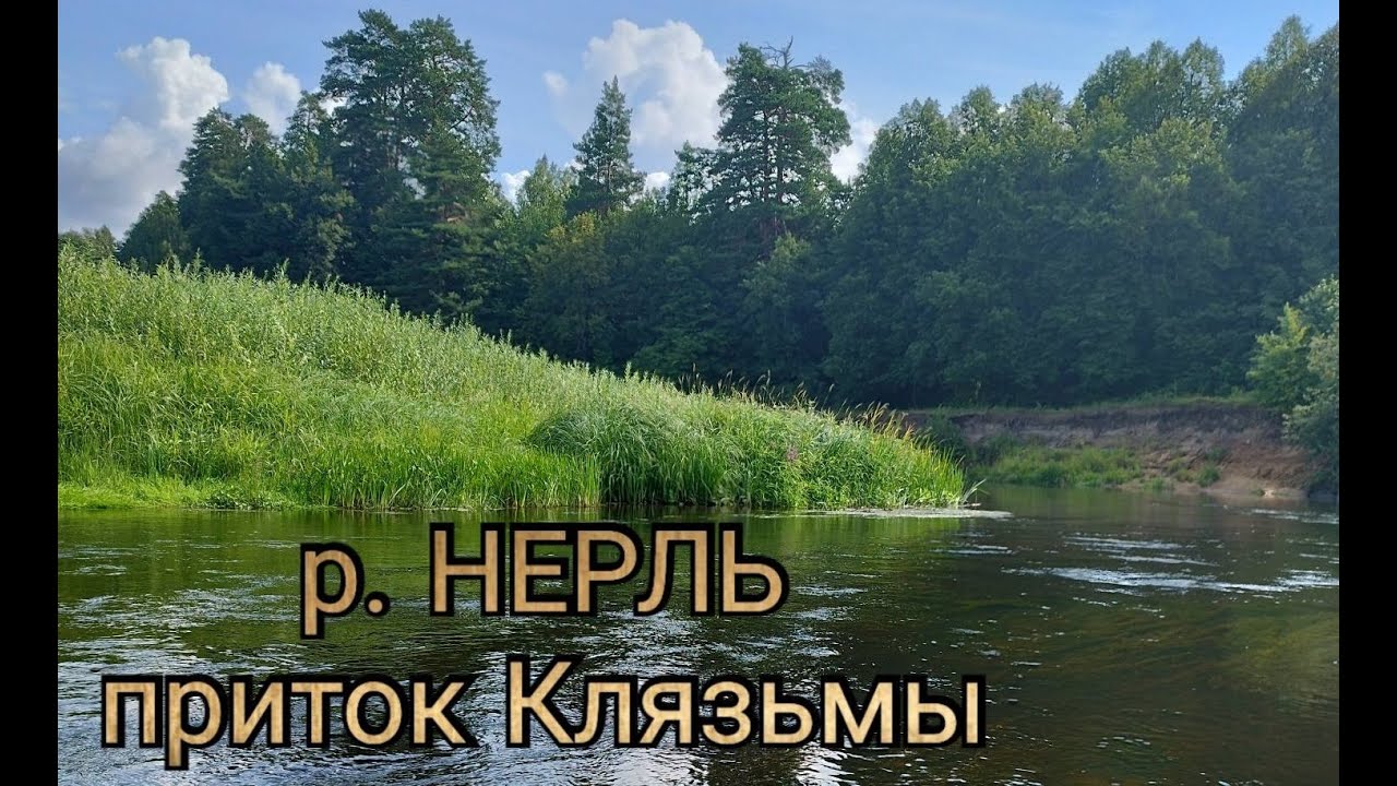 р. НЕРЛЬ (приток Клязьмы). Река с северным характером. Рыбалка на голавля.