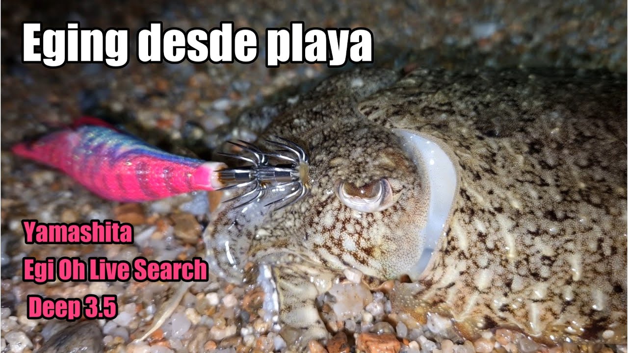 Eging desde Playa// Marzo