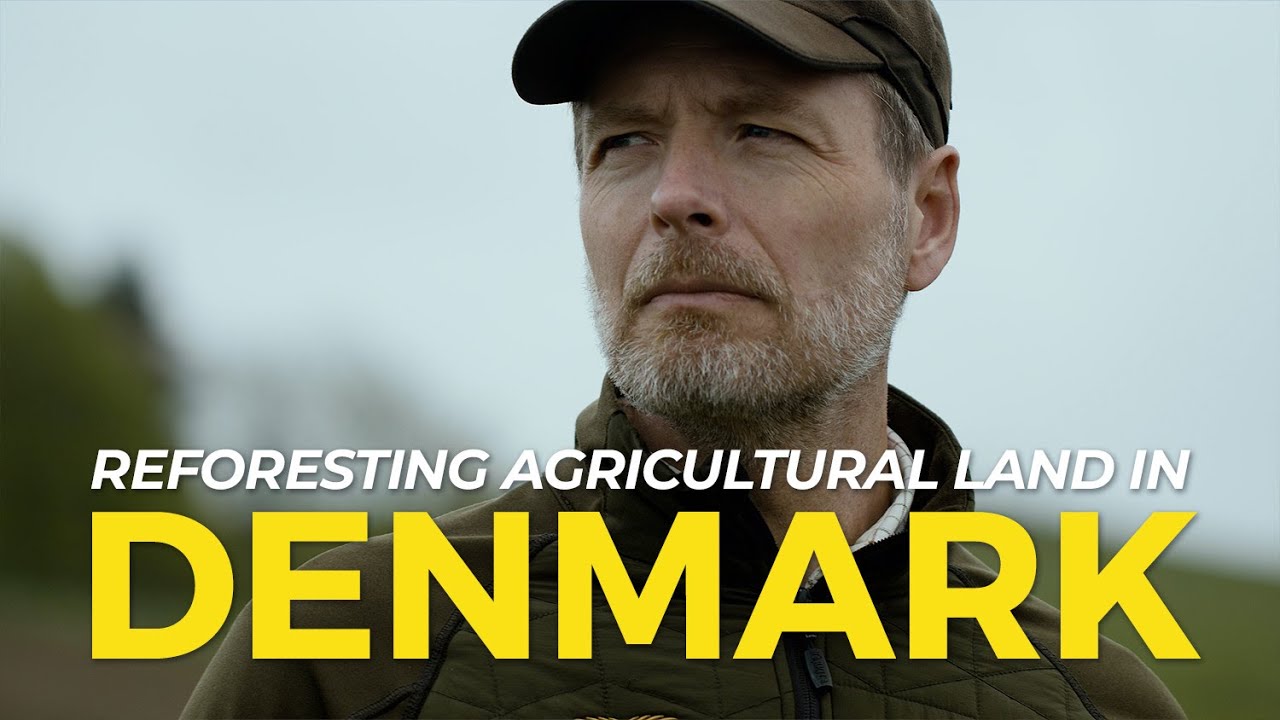 Denmark Reforestation: SKOVDYRKERNE | One Tree Planted