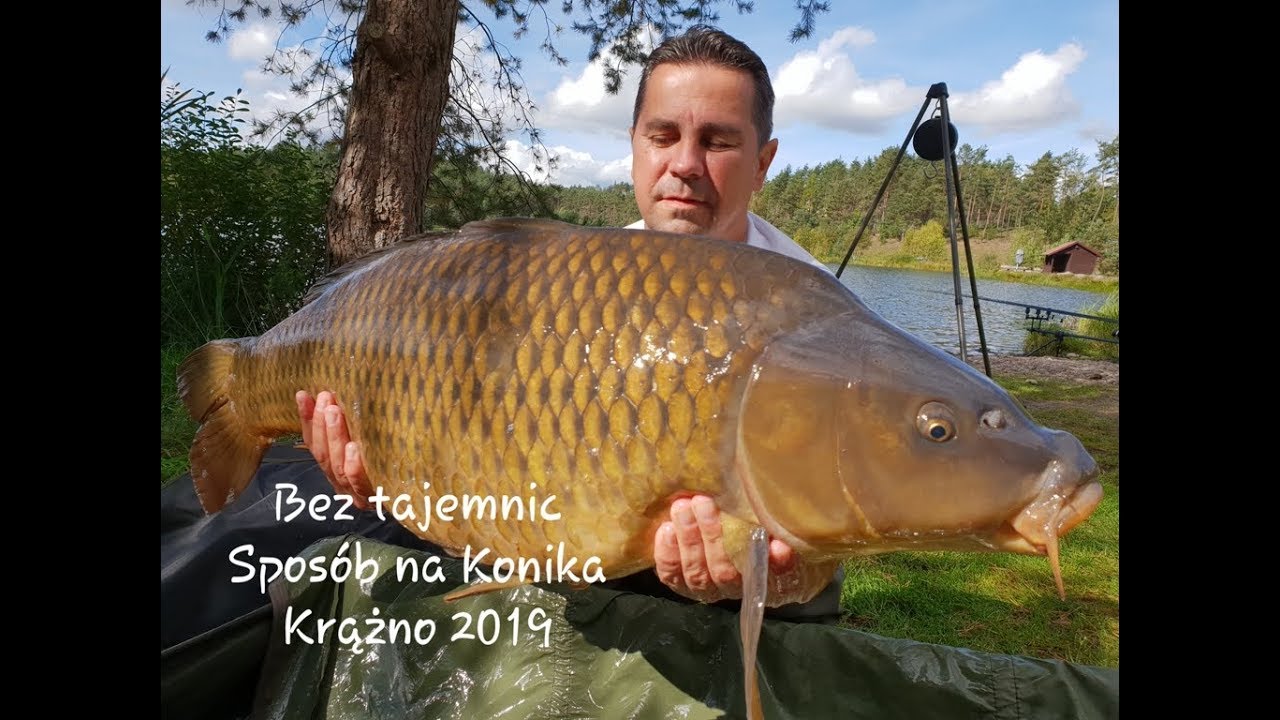 Jezioro Krążno 2019