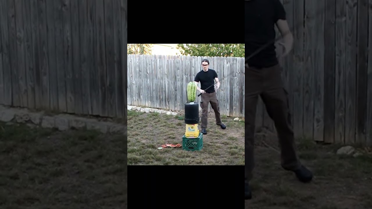 Sjambok vs watermelon